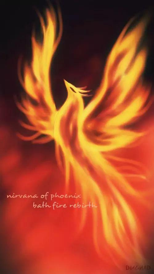 迎亲之辱凤凰涅槃,凤凰涅槃，浴火重生  第3张