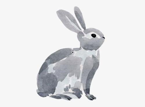 好心肠动物,传递爱与关怀的动人瞬间  第2张