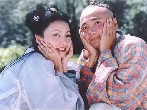 春光灿烂猪八戒,探寻猪八戒的奇幻之旅