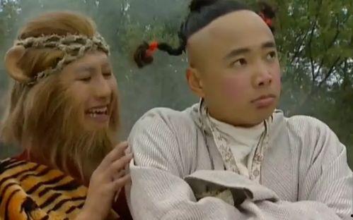 春光灿烂猪八戒,探寻猪八戒的奇幻之旅  第3张