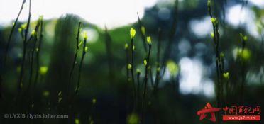 晚春不晚  第2张